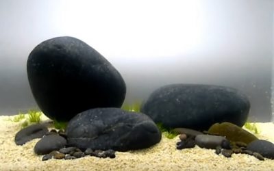 Aquascaping, allestimento con rocce