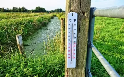 Temperatura in acquario