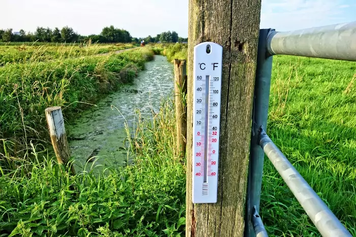 Temperatura in acquario